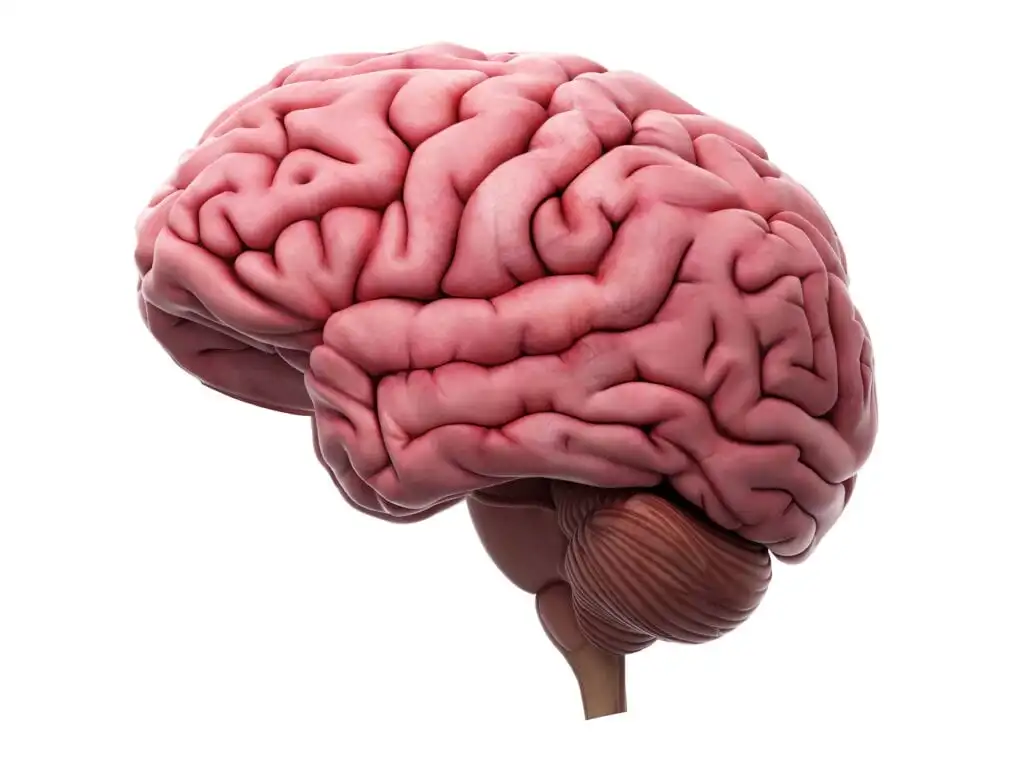 MY MIND
